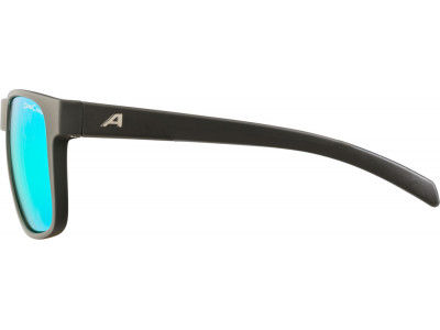 ALPINA Okuliare NACAN III coffe-grey matt