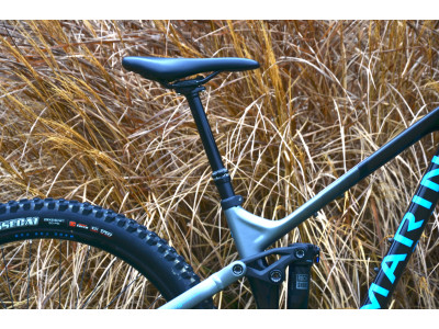 Marin Alpine Trail Carbon 1 29 bicykel, čierna/sivá/modrá, testovací