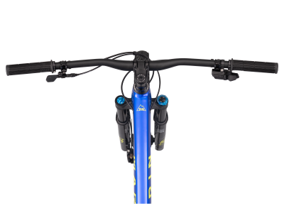 MARIN Tam XR 29