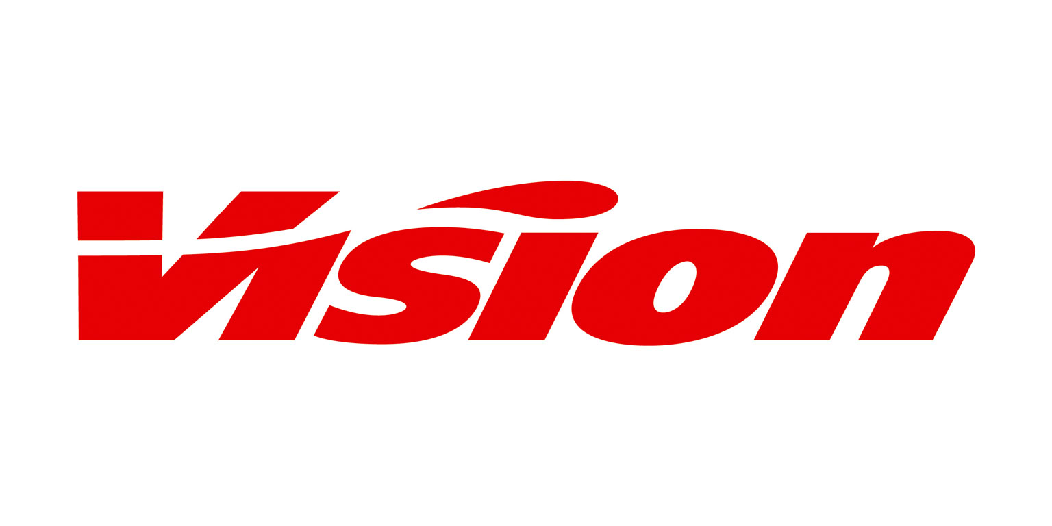 VISION